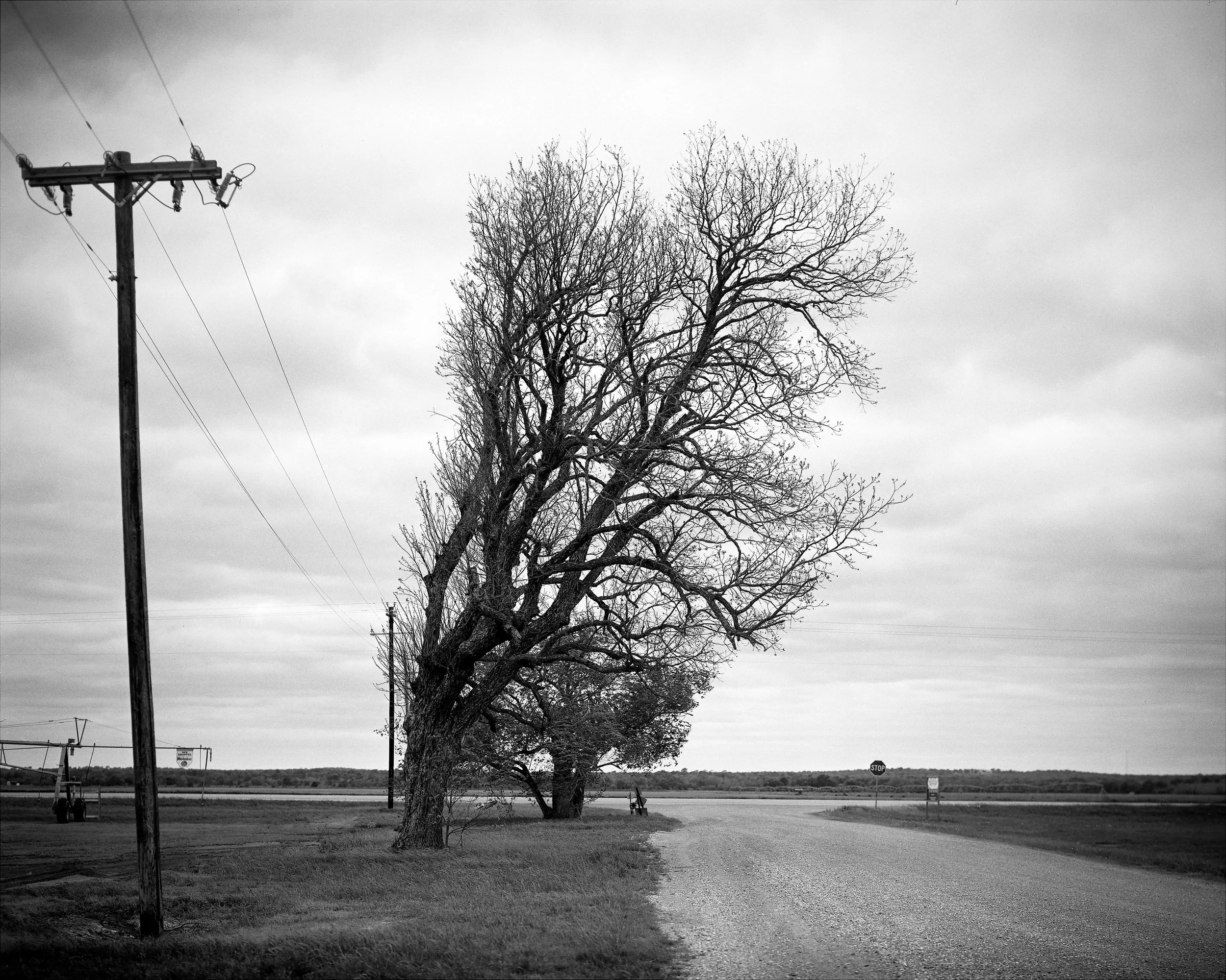 Black and white photo of a rural scene with leafless trees, a gravel road, utility pole, and a stop sign under cloudy sky.