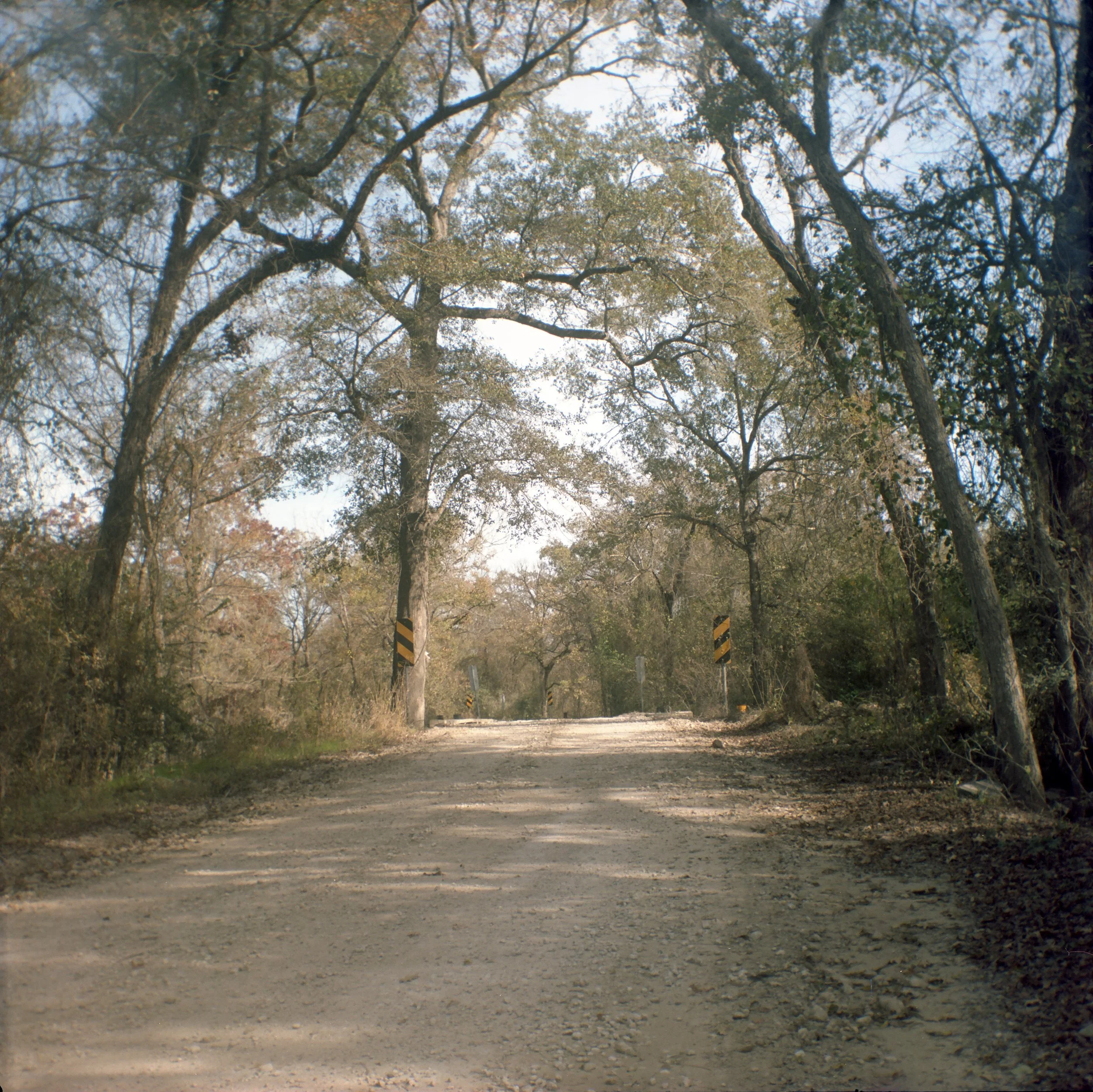 Dirt road through a wooded area with trees arching over the road.