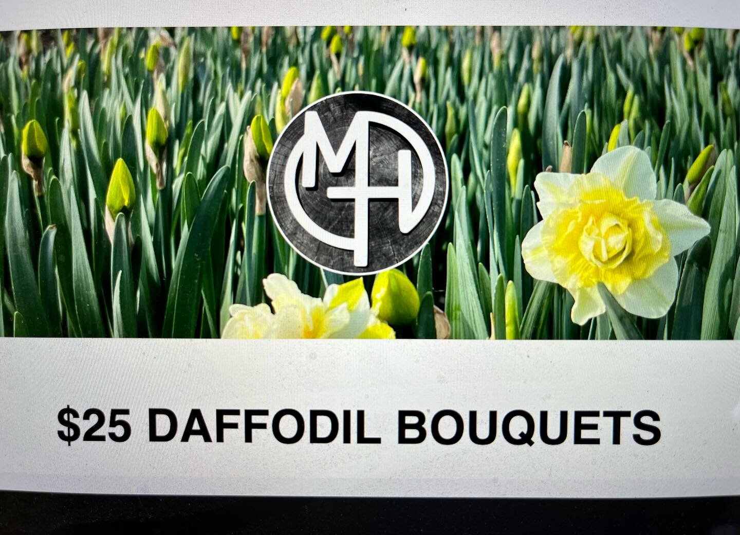 OUR DAFFODILS ARE BLOOMING!  We are pre-selling bouquets on our website with a pickup location at Central Commons in Dallas.
www.marshillfarm.com/shop-the-farm