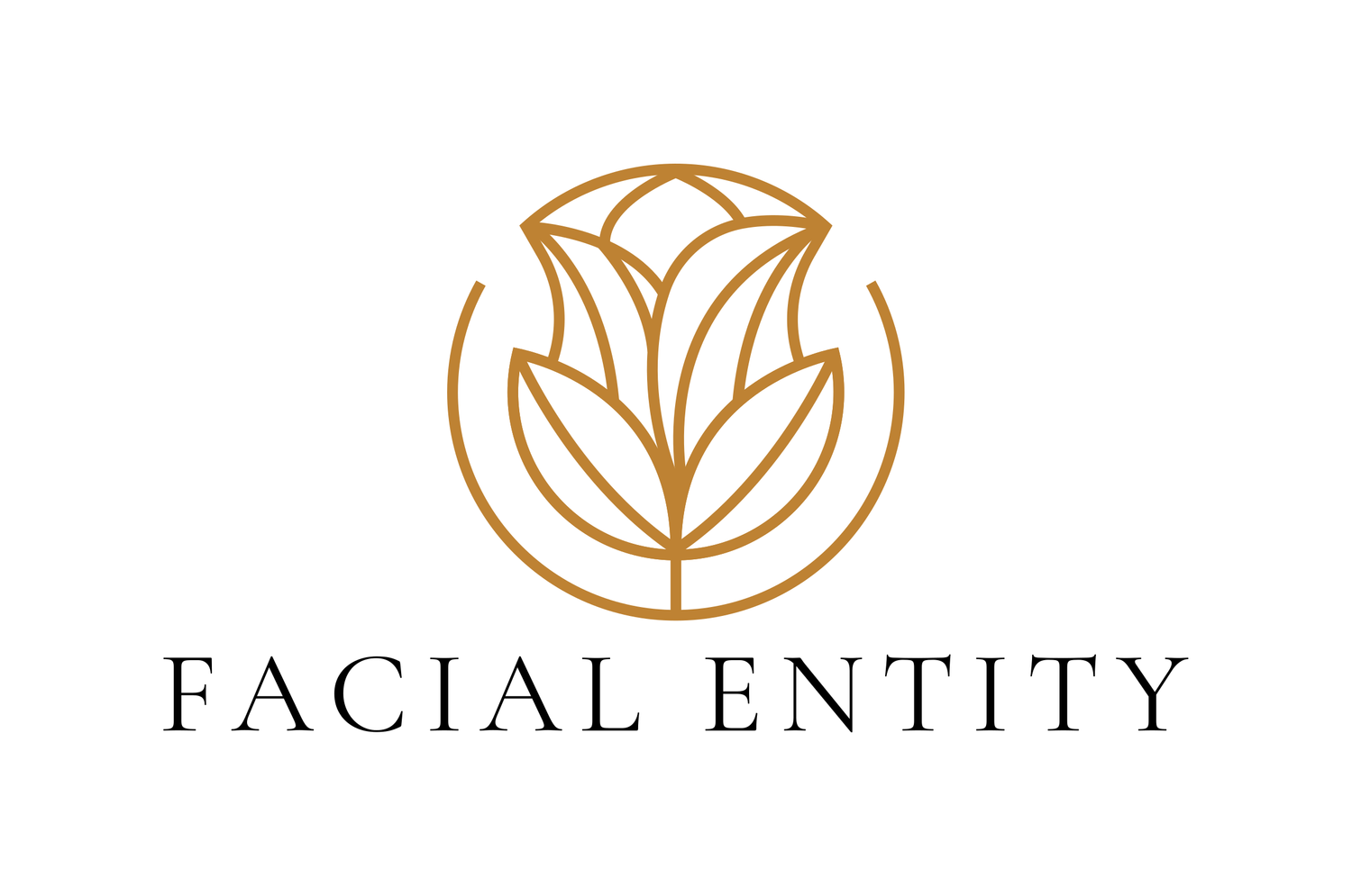 Facial Entity