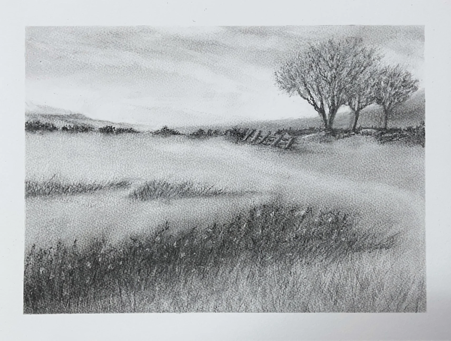 Black and white landscape drawing of a field with three trees on the right side, distant hills, and a cloudy sky.