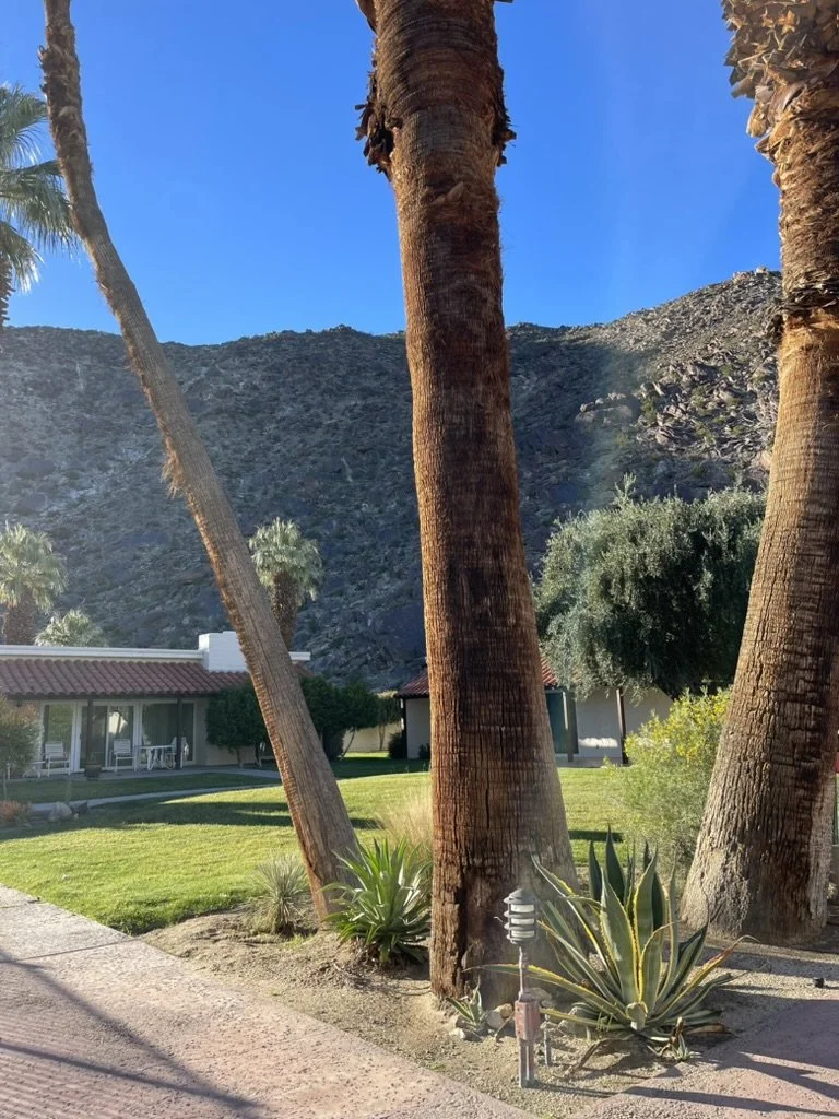 C70D09FB-D31C-4857-AD25-3912D205FDF3_1_105_c (1).jpeg