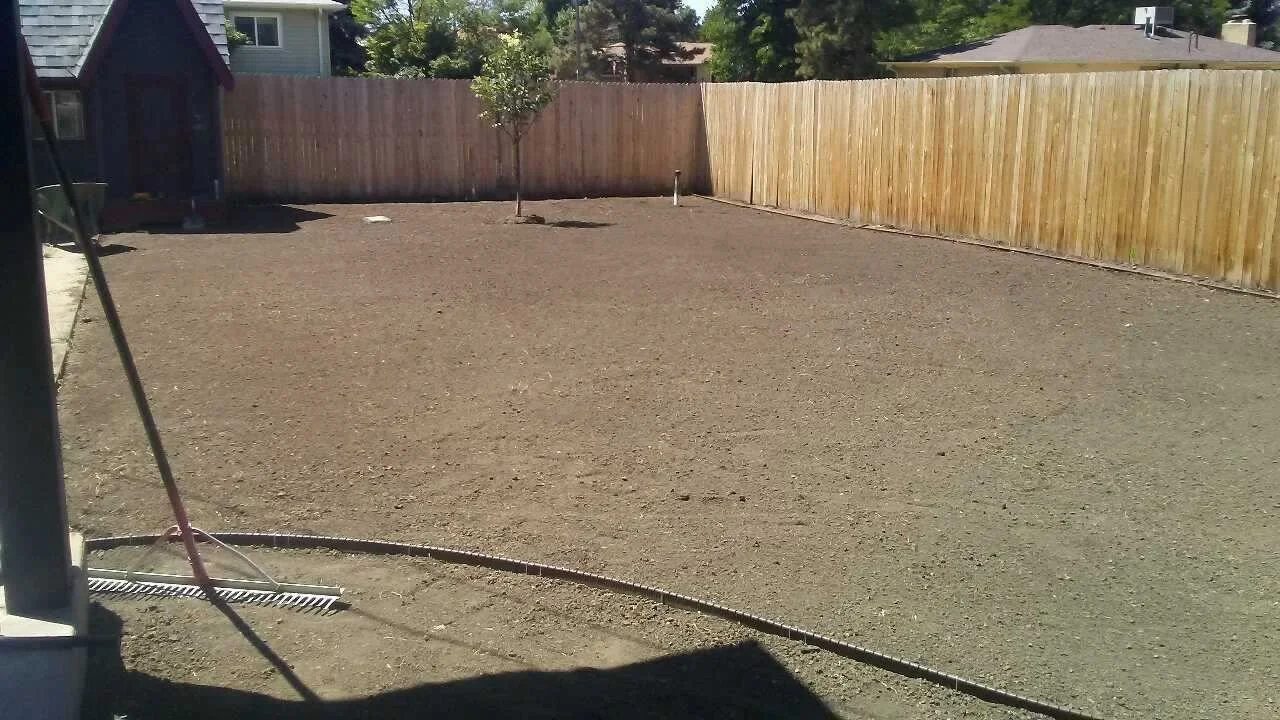 Fine Grading for Sod Install.jpg