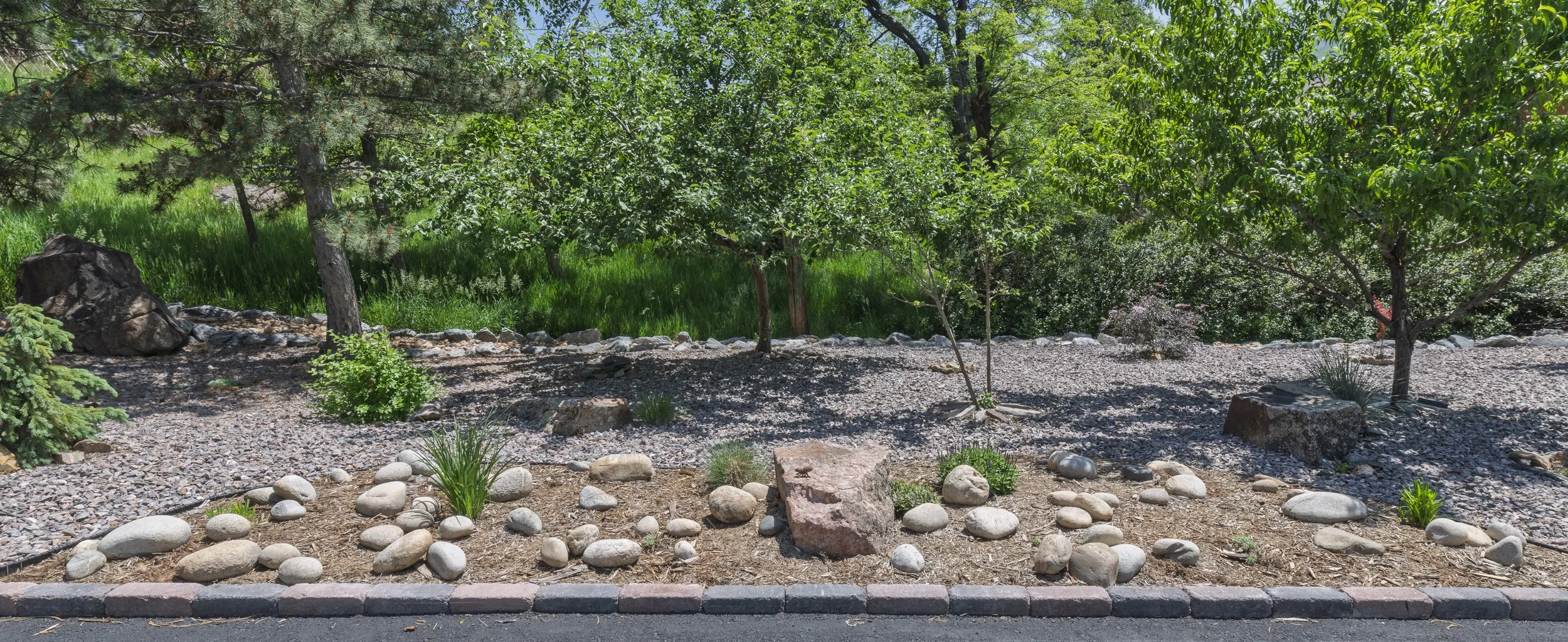 Highlands Landscaping - Van Ness - Golden-19.jpg