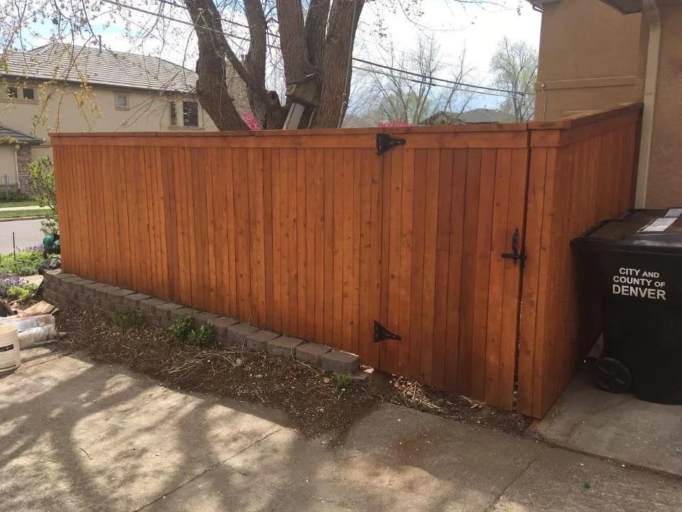 Staining #1 .jpg