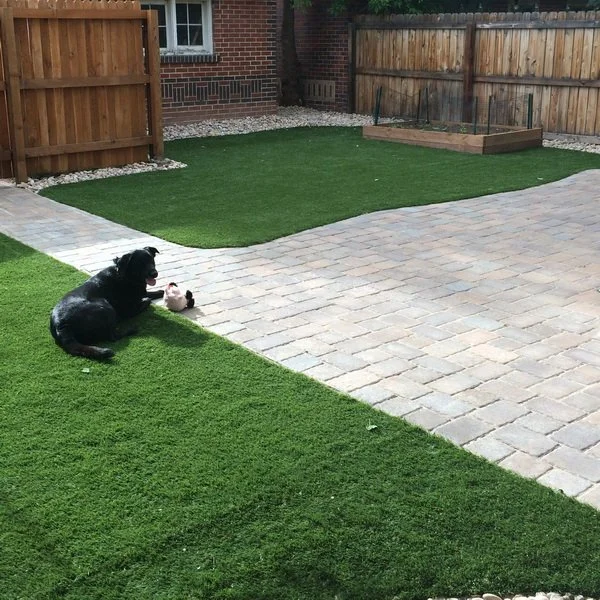 What Makes Artificial Turf Popular In Colorado Yards
