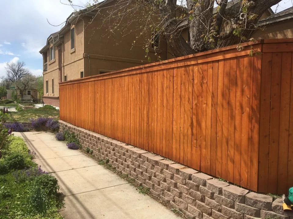 Staining #10.jpg
