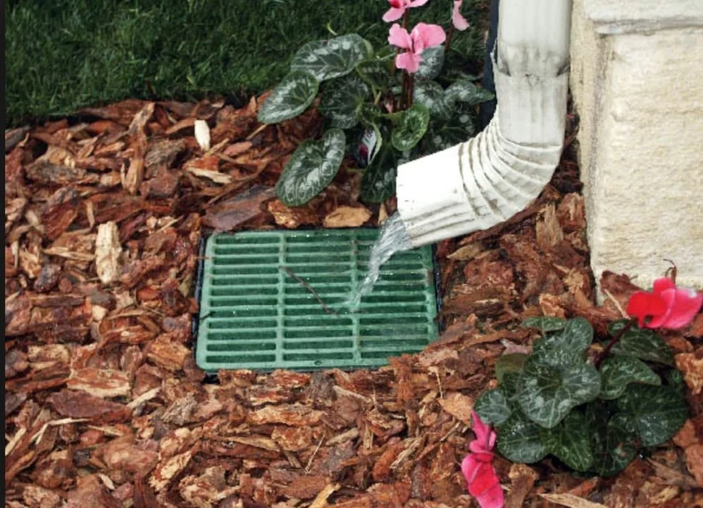 Downspout Catch Basin in Mulch.jpg