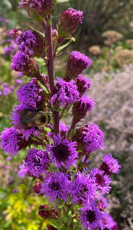 Screenshot 2026-04-16 094654.png