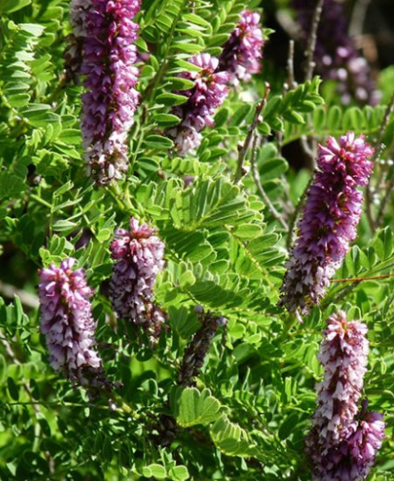 Screenshot 2026-04-16 120814.png