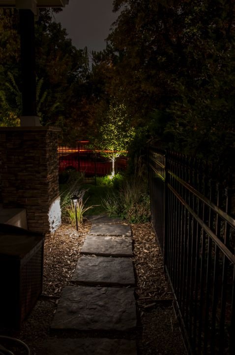 Copy of Path Light and Uplight on Tree.jpg