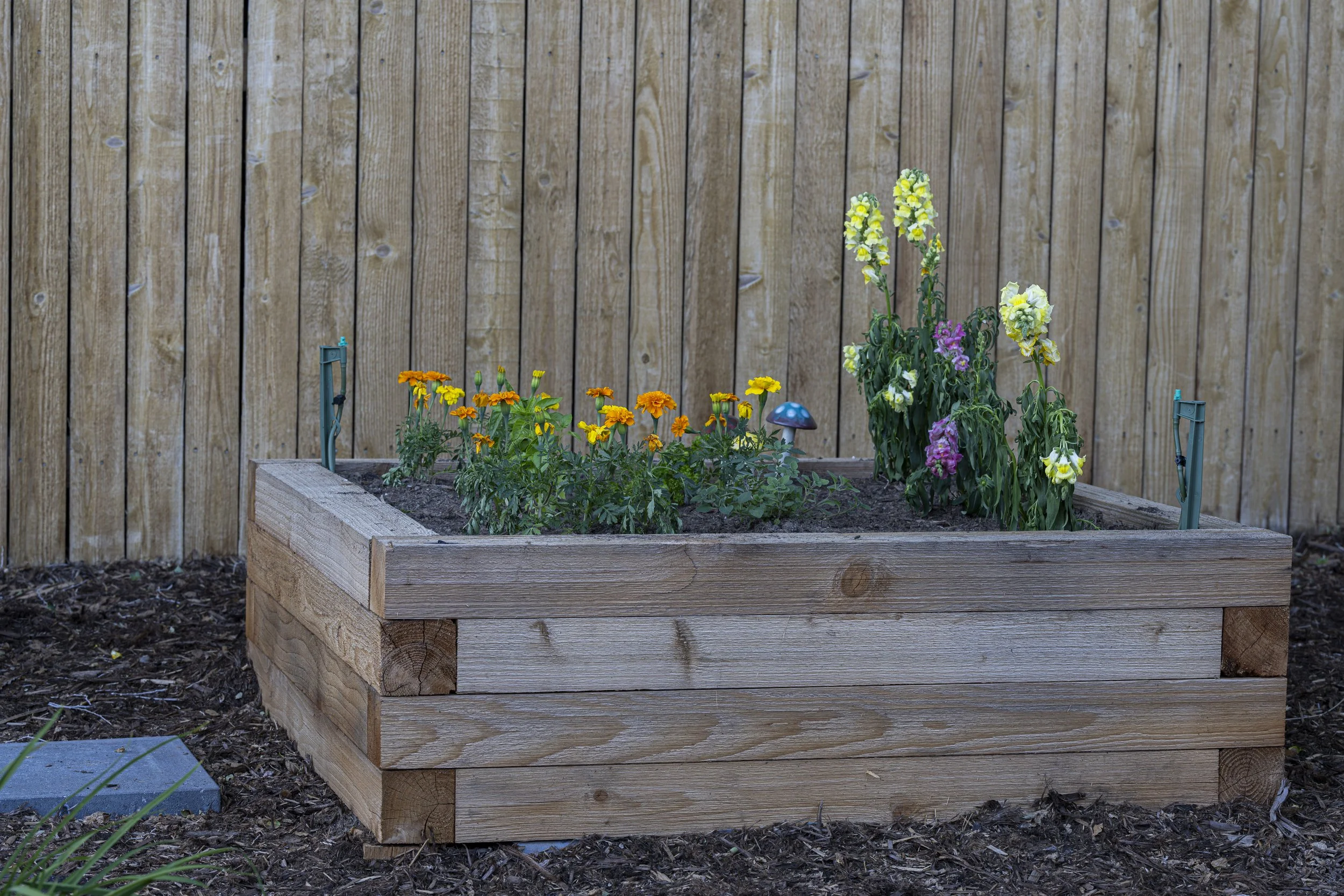 Highlands Landscaping - Boss - Denver-16.jpg
