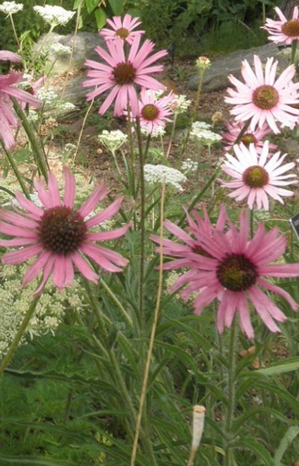 Screenshot 2026-04-16 120915.png