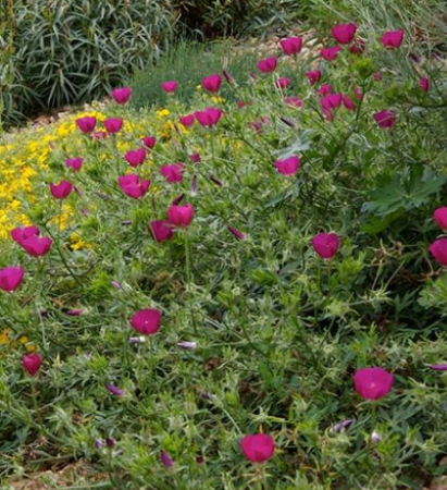 Screenshot 2026-04-16 120717.png