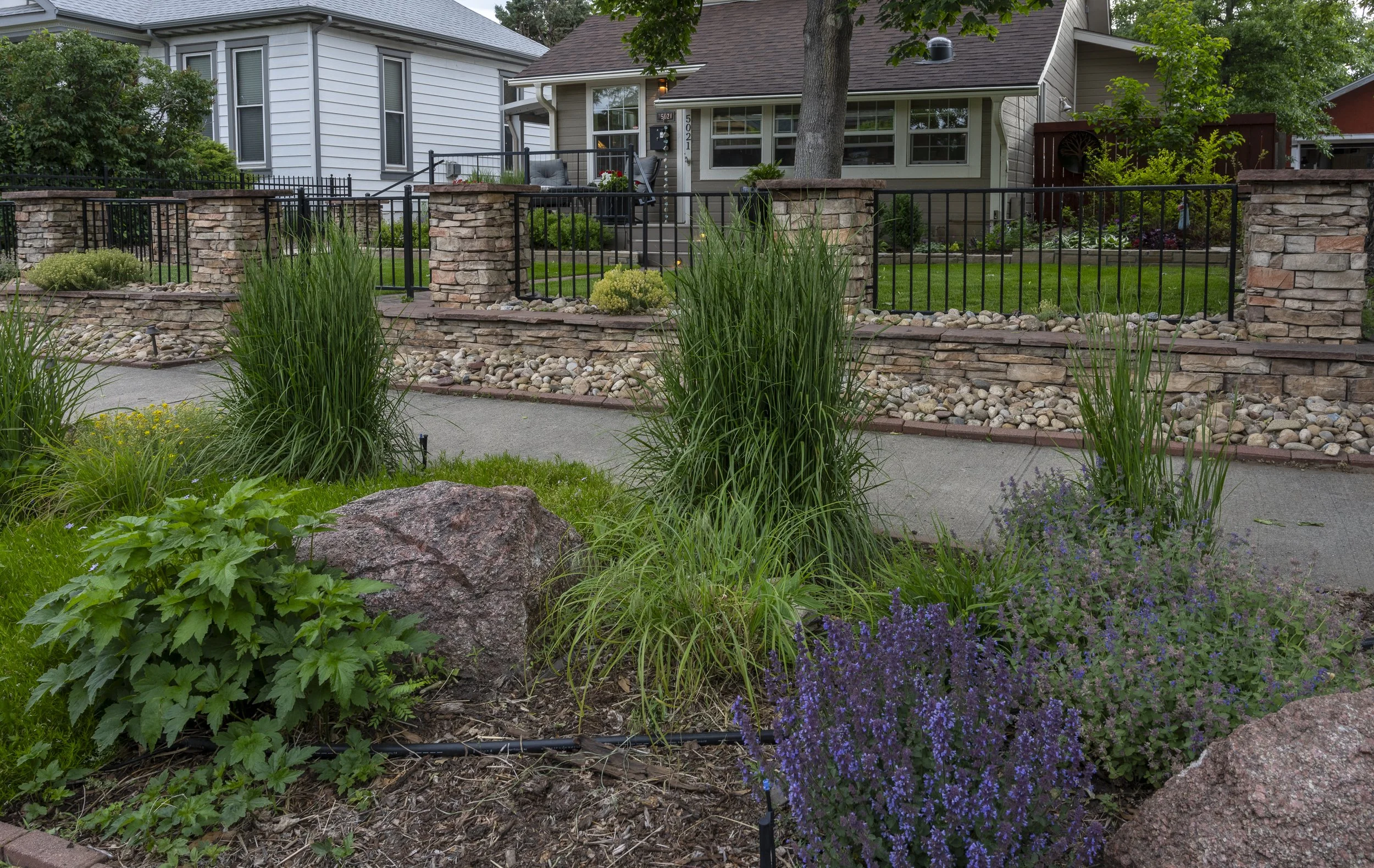 A lush green garden with a variety of shrubs, a large rock on the right, and a smaller rock on the left, with a patch of vibrant grass in the foreground.