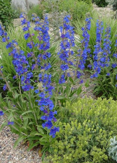 Screenshot 2026-04-16 094620.png