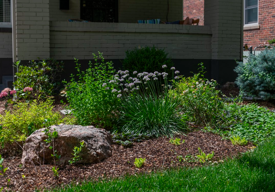 Screen Shot 2024-03-01 at 11.57.07 AM.png