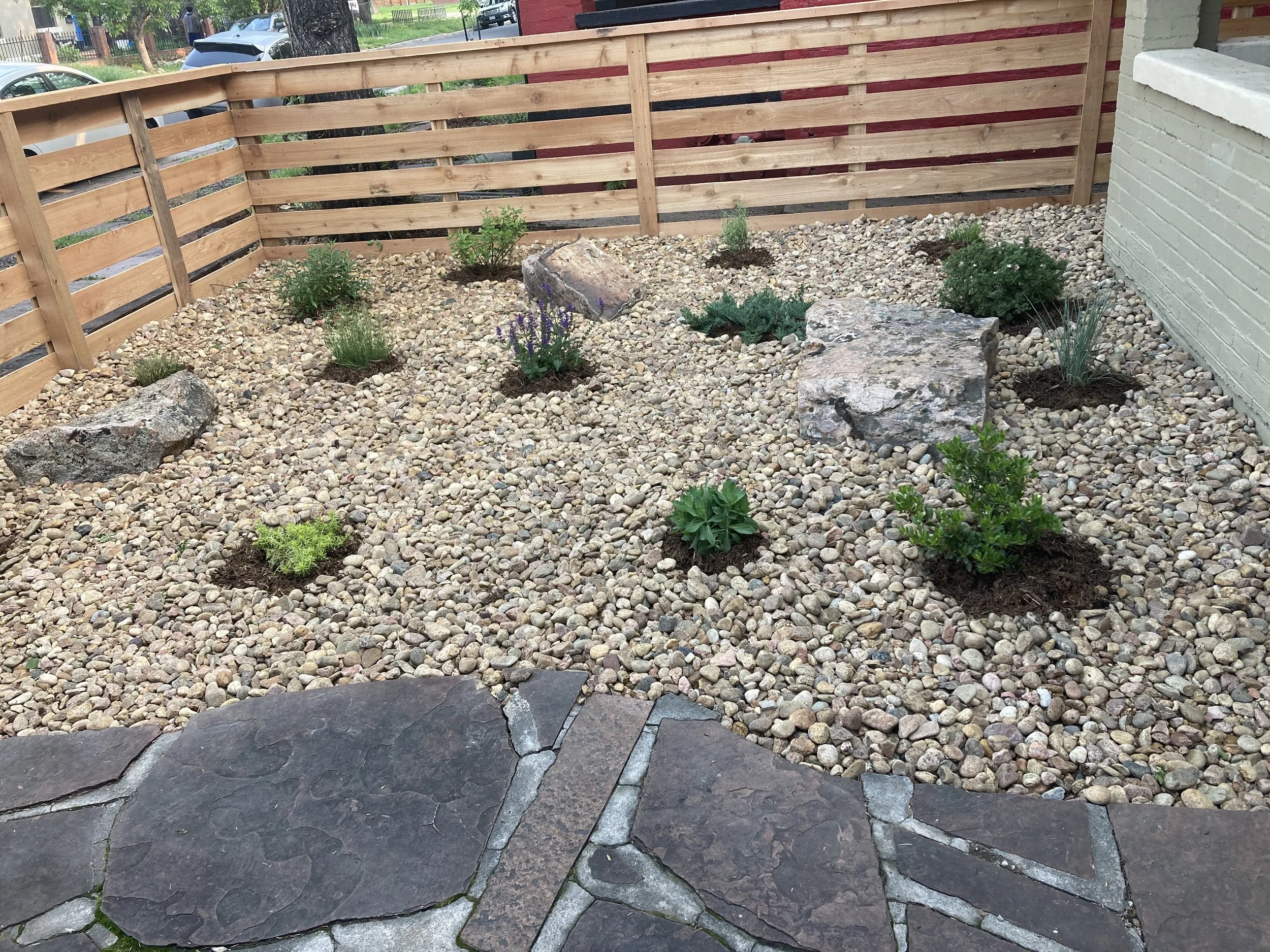 Initial Xeric Plantings in 1.5_ River Rock and 1_4 ton Moss Rock Boulders.JPG