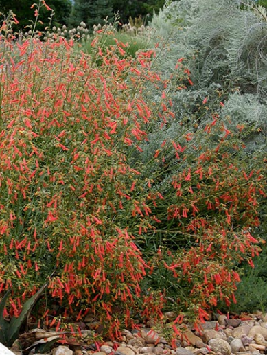 Screenshot 2026-04-16 121001.png