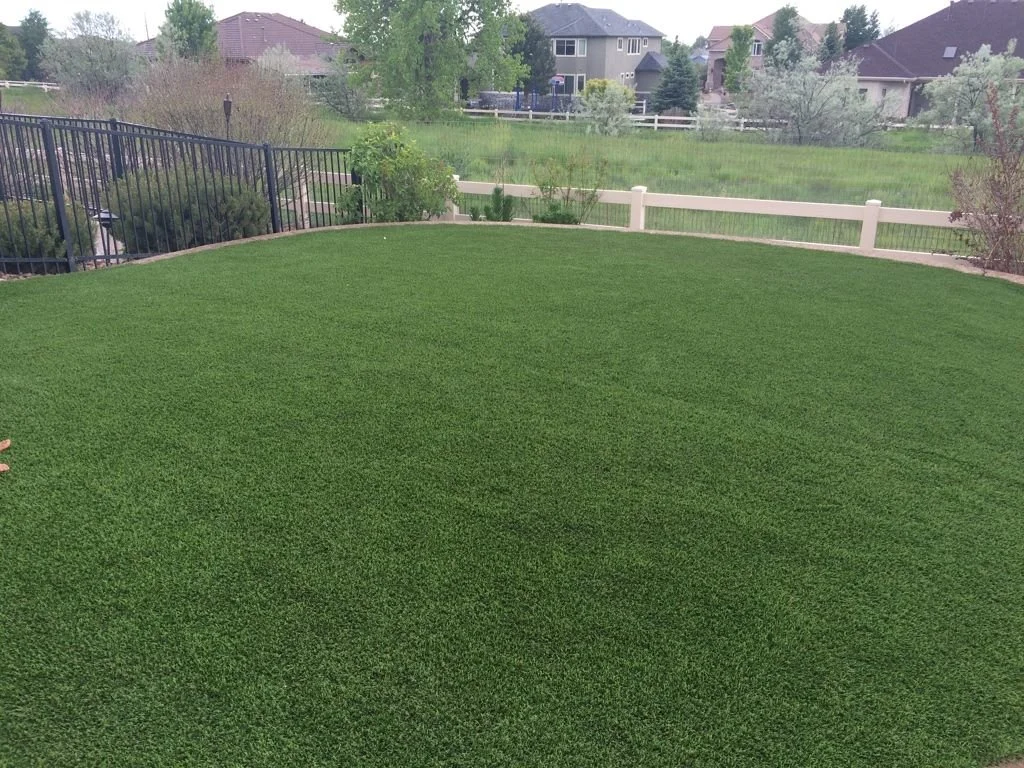 Artificial Turf in Backyard.jpg