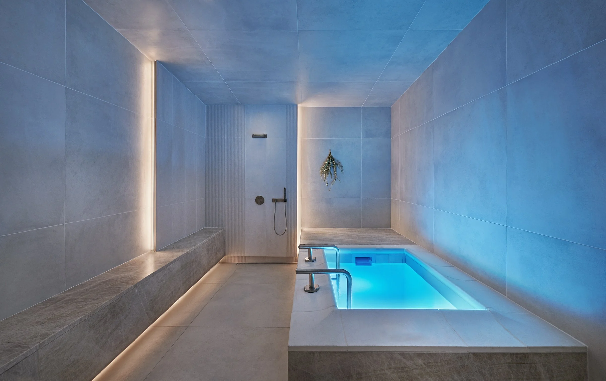 Cold Plunge & Infrared Sauna