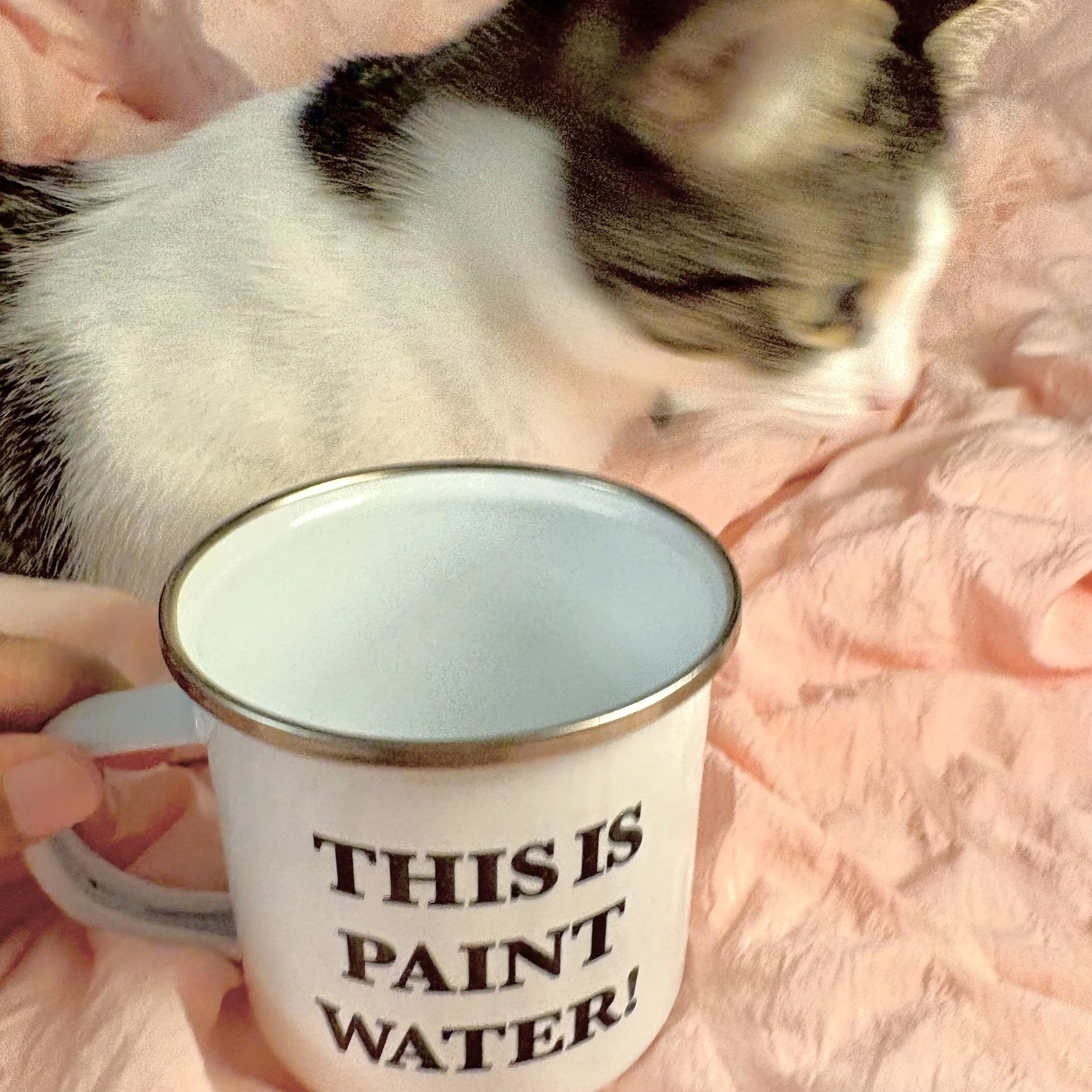 Is this paint water? 12oz Enamel Mug