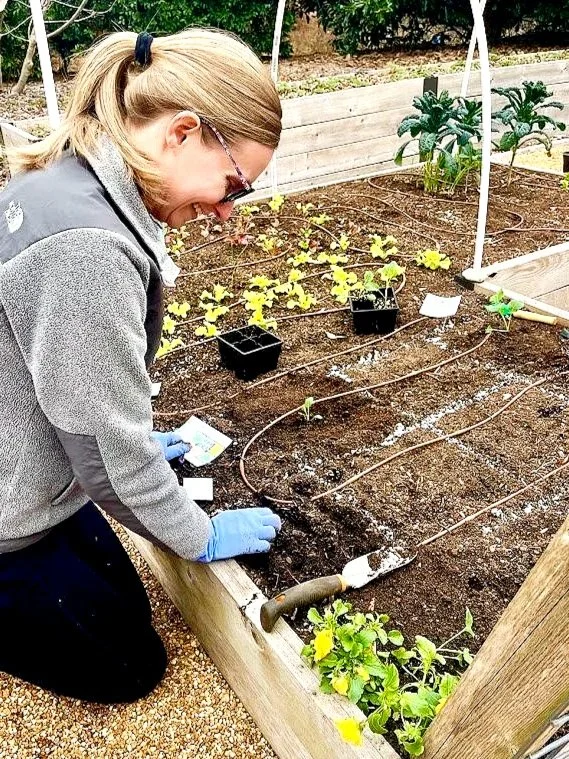 Woman planting seedlings in a raised garden bed with drip irrigation and young leafy plants.