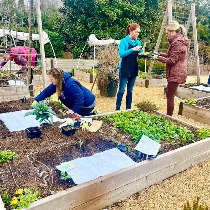 Three women working in a vegetable garden, planting and tending to various plants, with gardening tools and instructional signs.