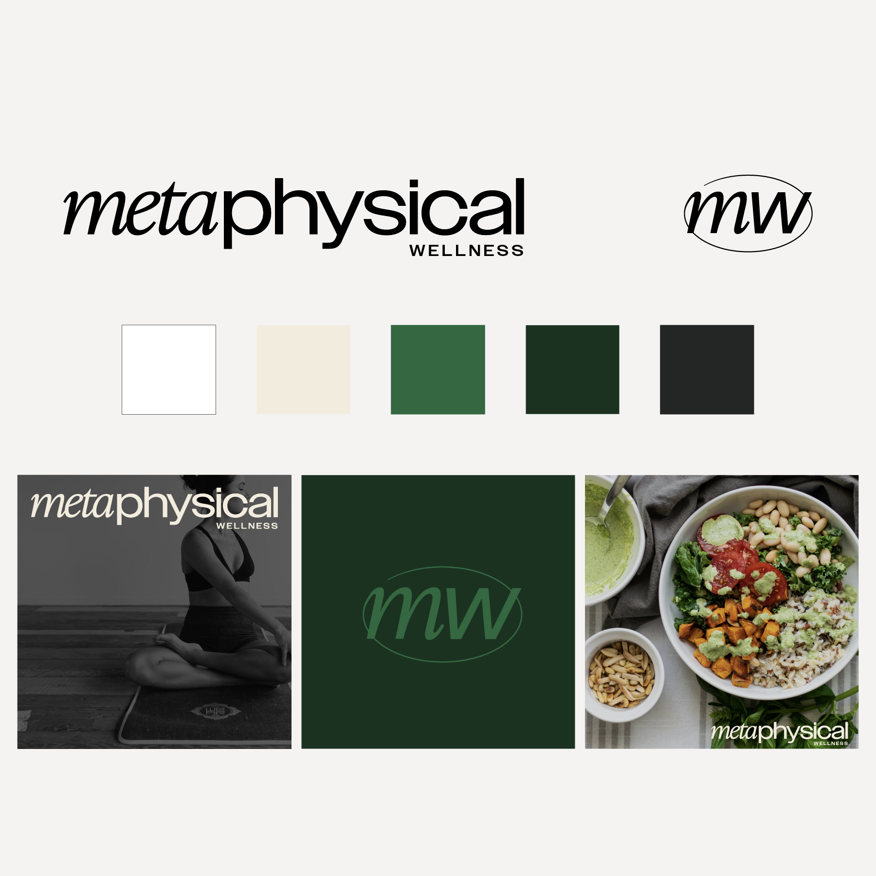 Olly Website Assets-03.png