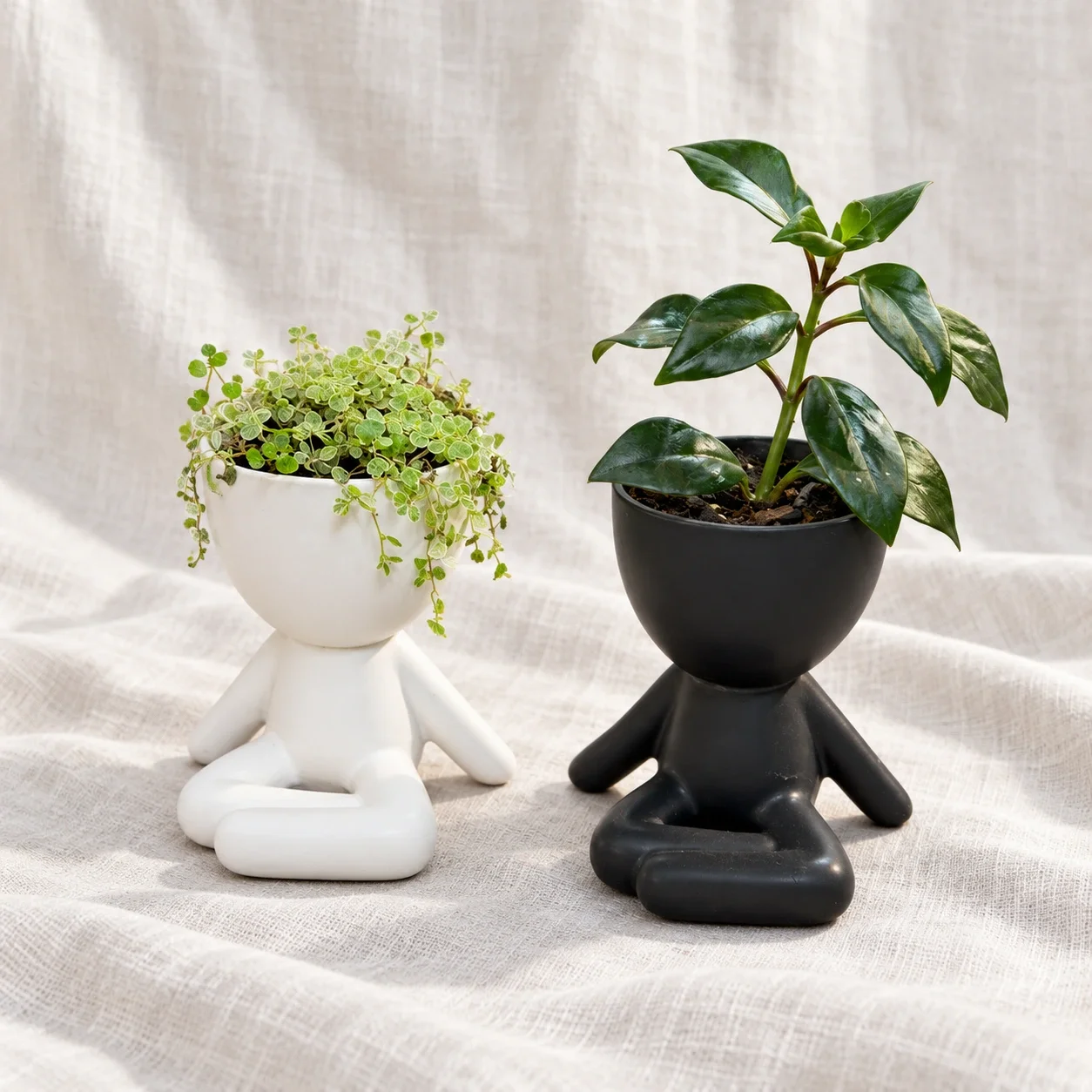 Two seated planters on white linen-2.webp