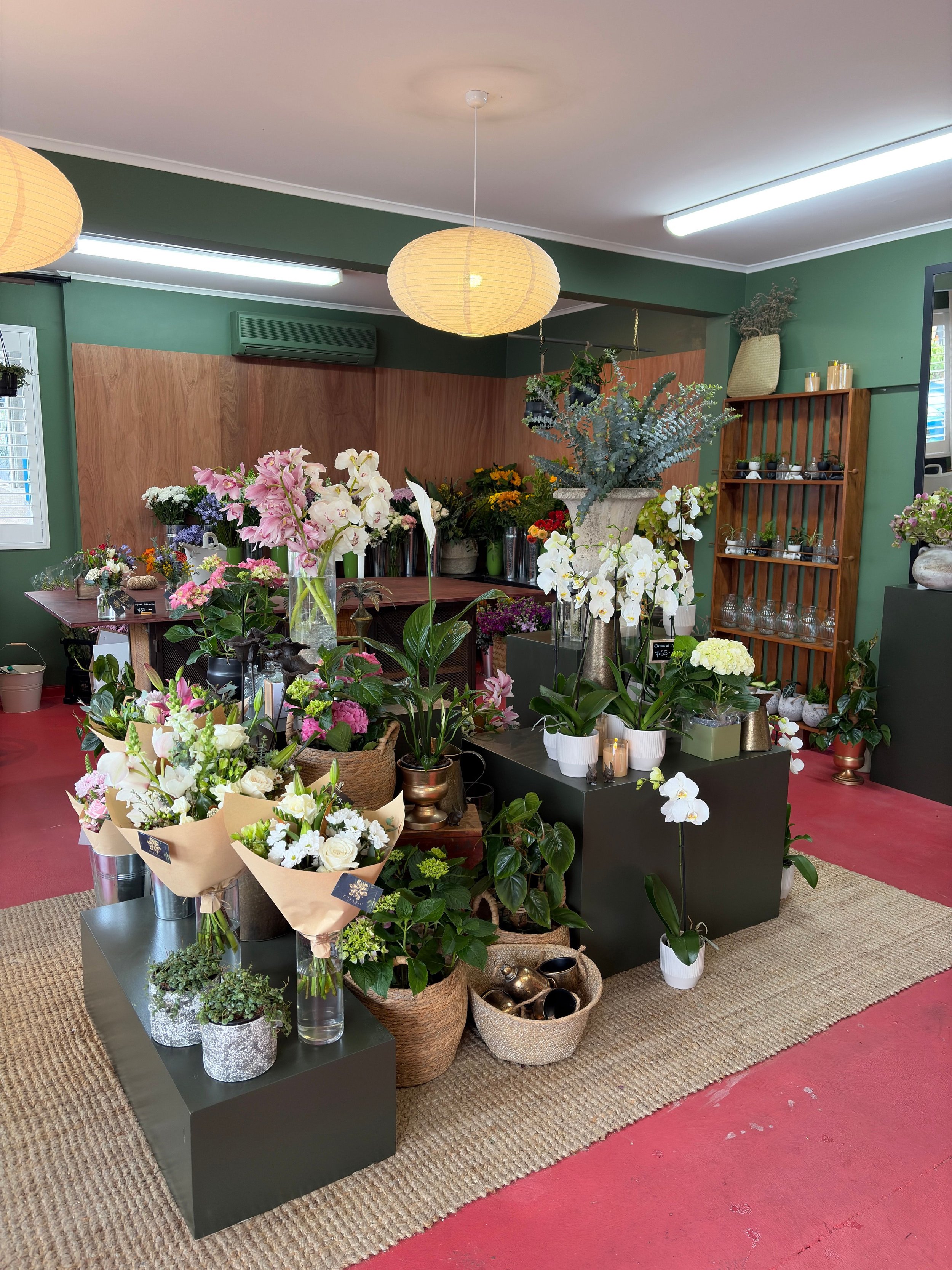 Fresh Flowers Havelock North