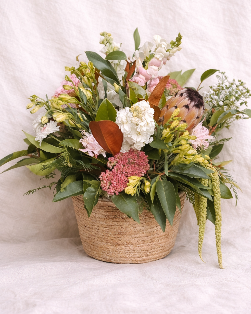 BEAUTIFULLY BRILLIANT