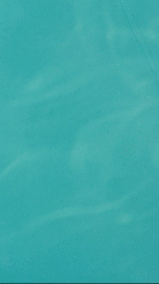 Loop 9x16 Colour.gif