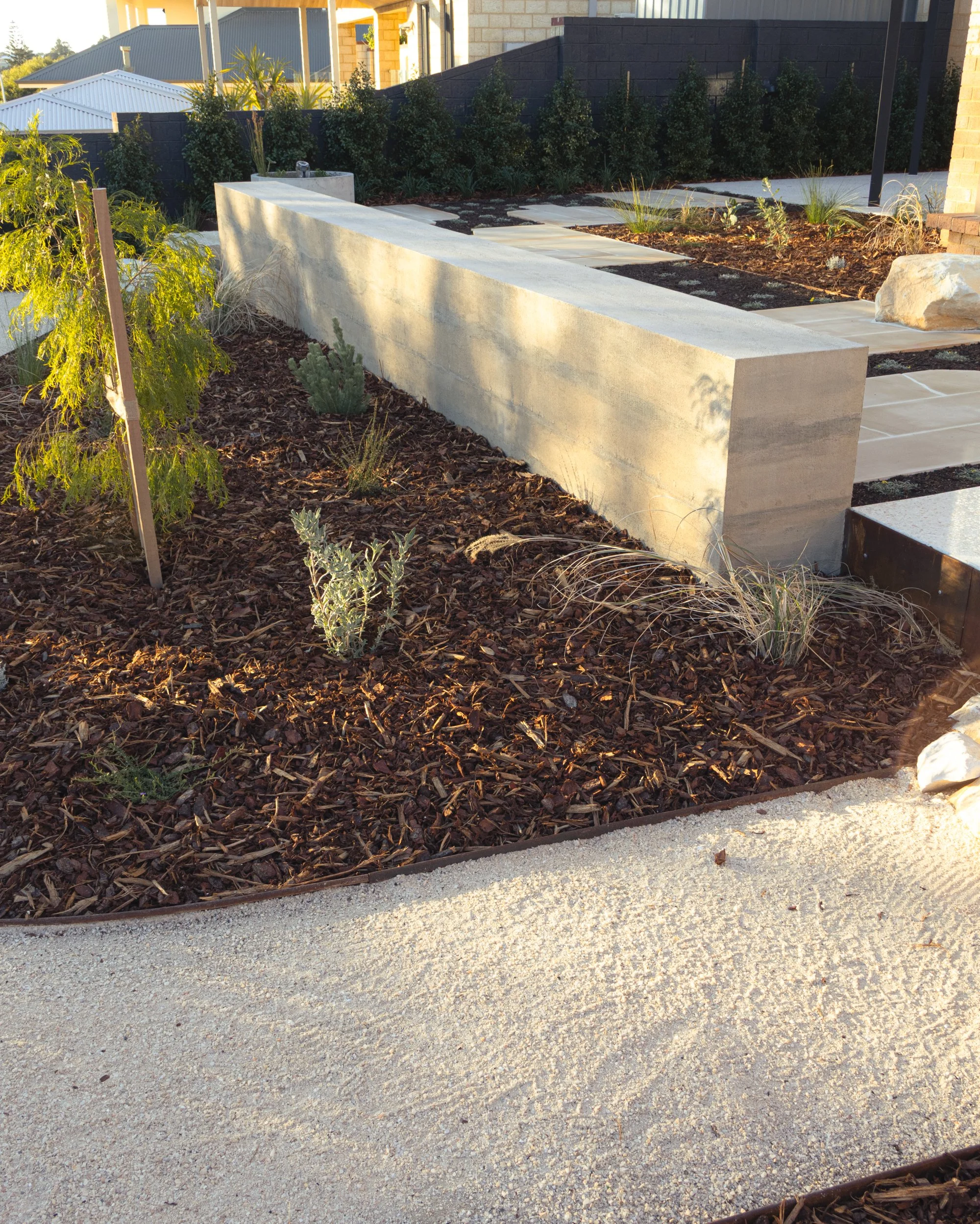 Modern backyard garden with a concrete bench, mulch, small plants, and pathway with pavers.