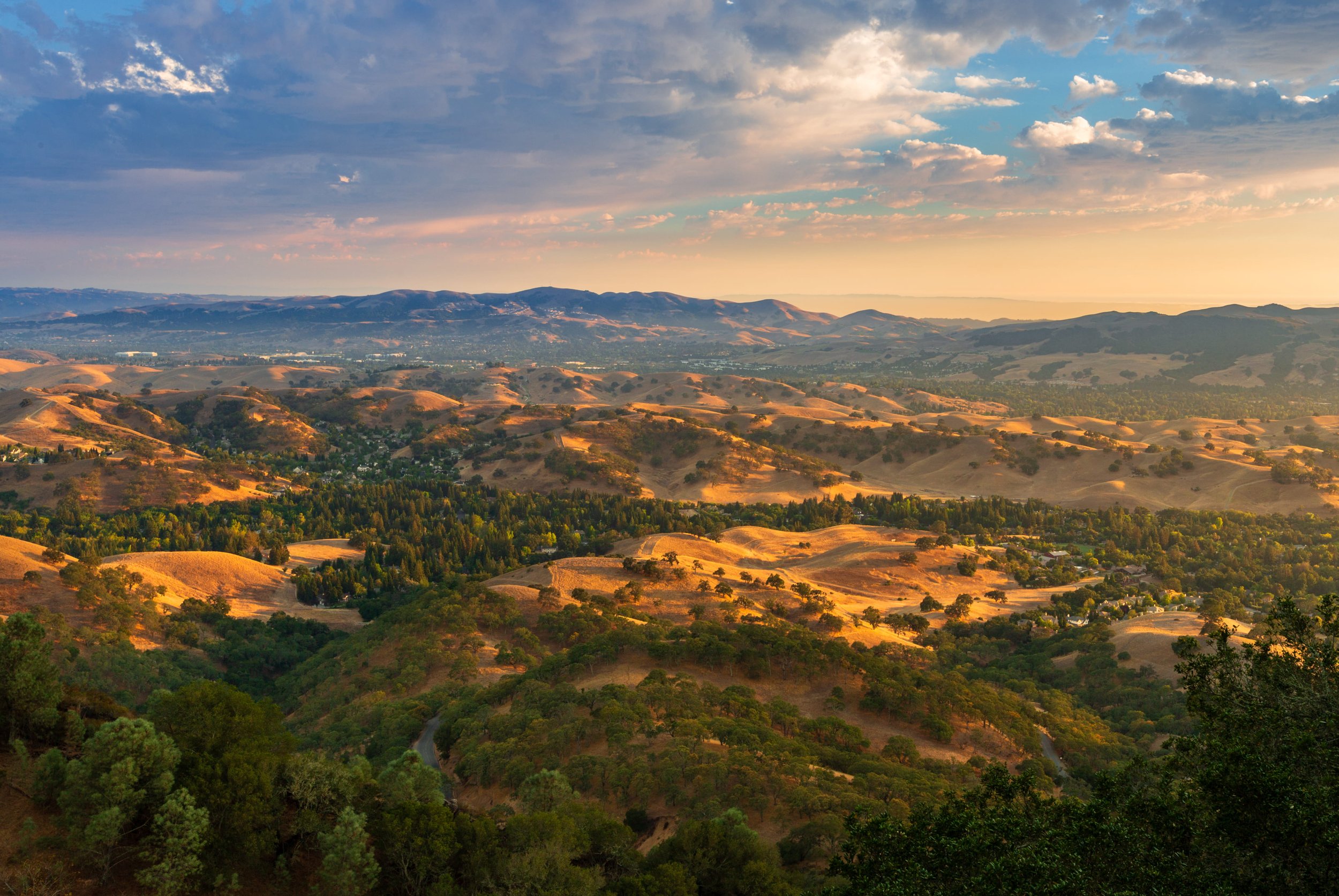 Valley View by Nancy Wright.

 A view of the Valley from partway up Mt Diablo, on a late August afternoon. So much to see with these expansive views the mountain gives us.