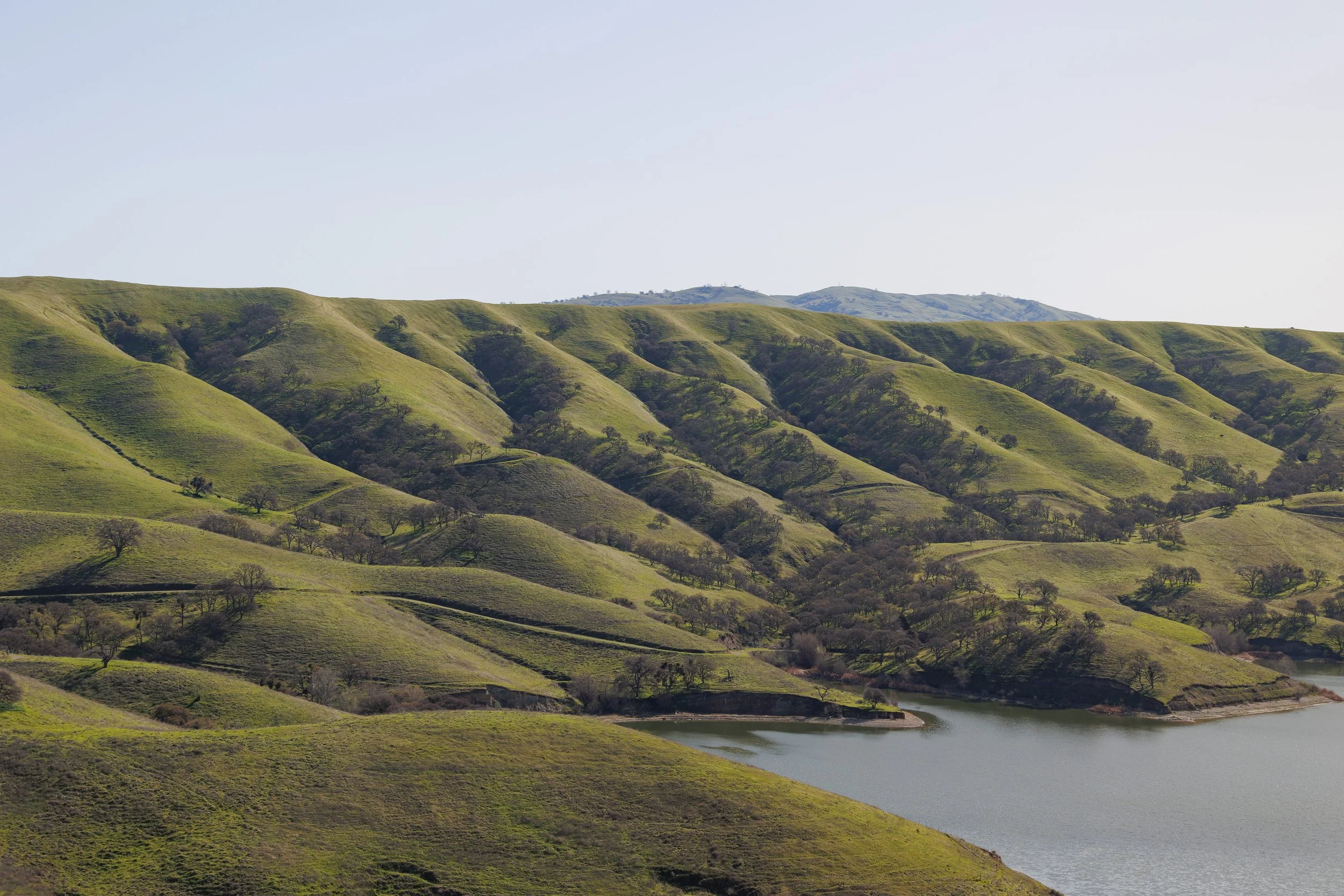 Layers by Stephanie Lin. 

Taken at East Shore Trail at Del Valle Regional Park. My favorite time of the year at Del Valle is when the hills are green.