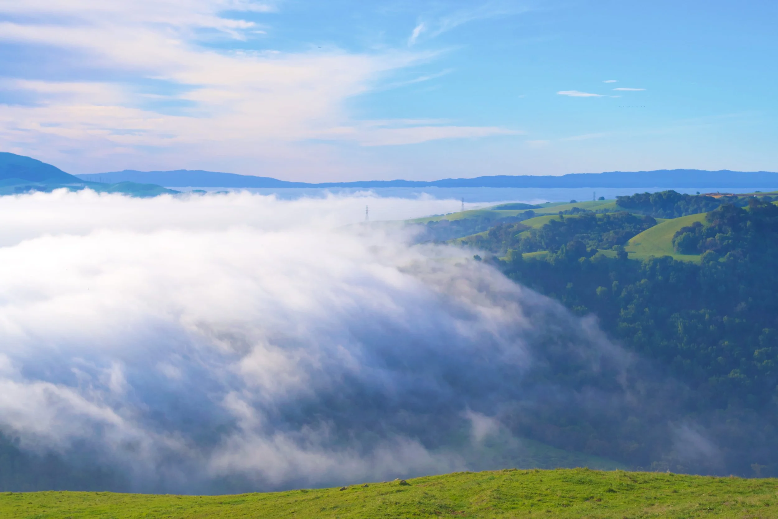 Rolling Fog by Spencer DeMera
