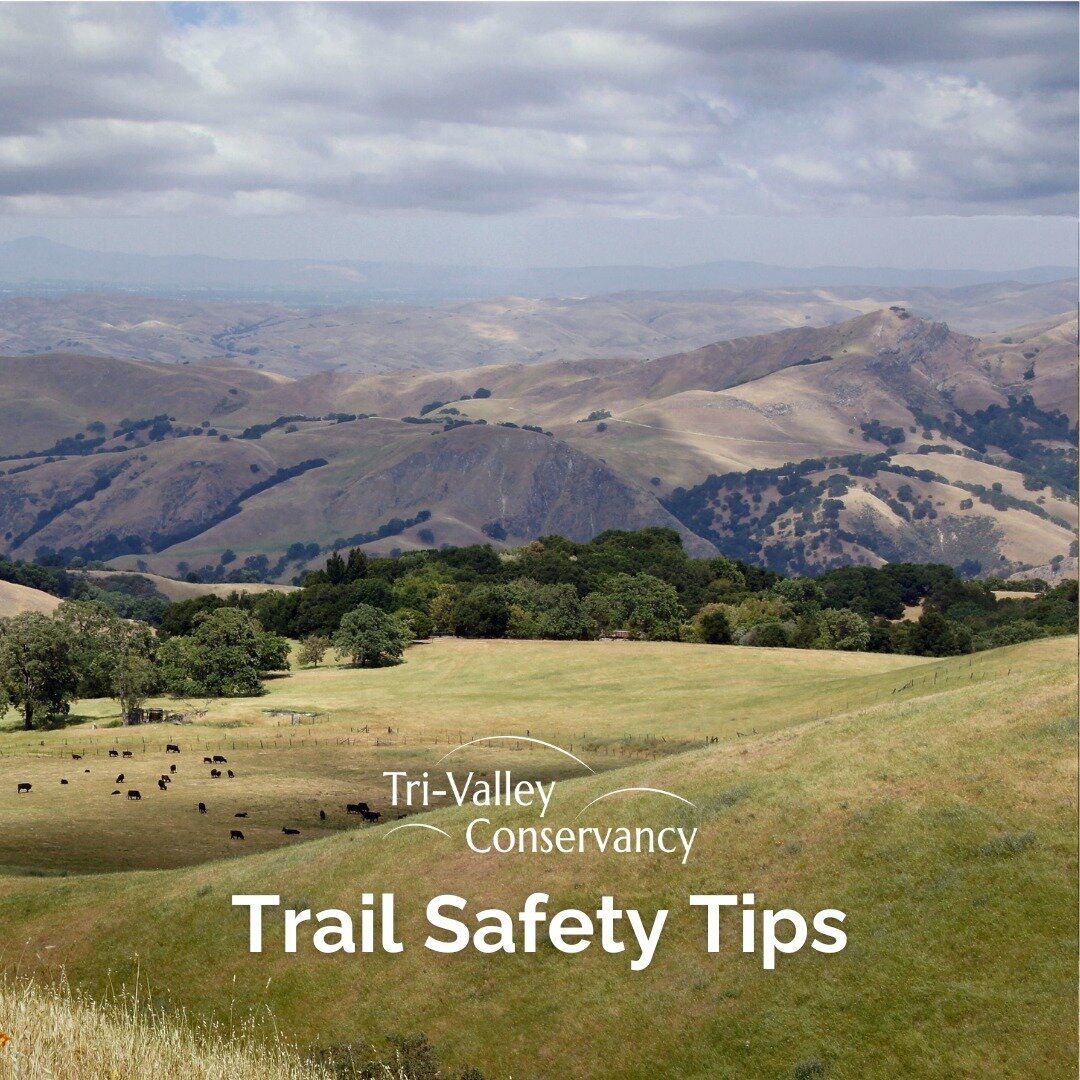 Ready to go on a hike and explore our beautiful open spaces? 🏞️🥾⁠
⁠
Before you hit the trails, check out these important safety tips to keep you and your hiking buddies safe.⁠
⁠
#californiatrails #hikingtips #hikingcaliforniatrails #californiahikes