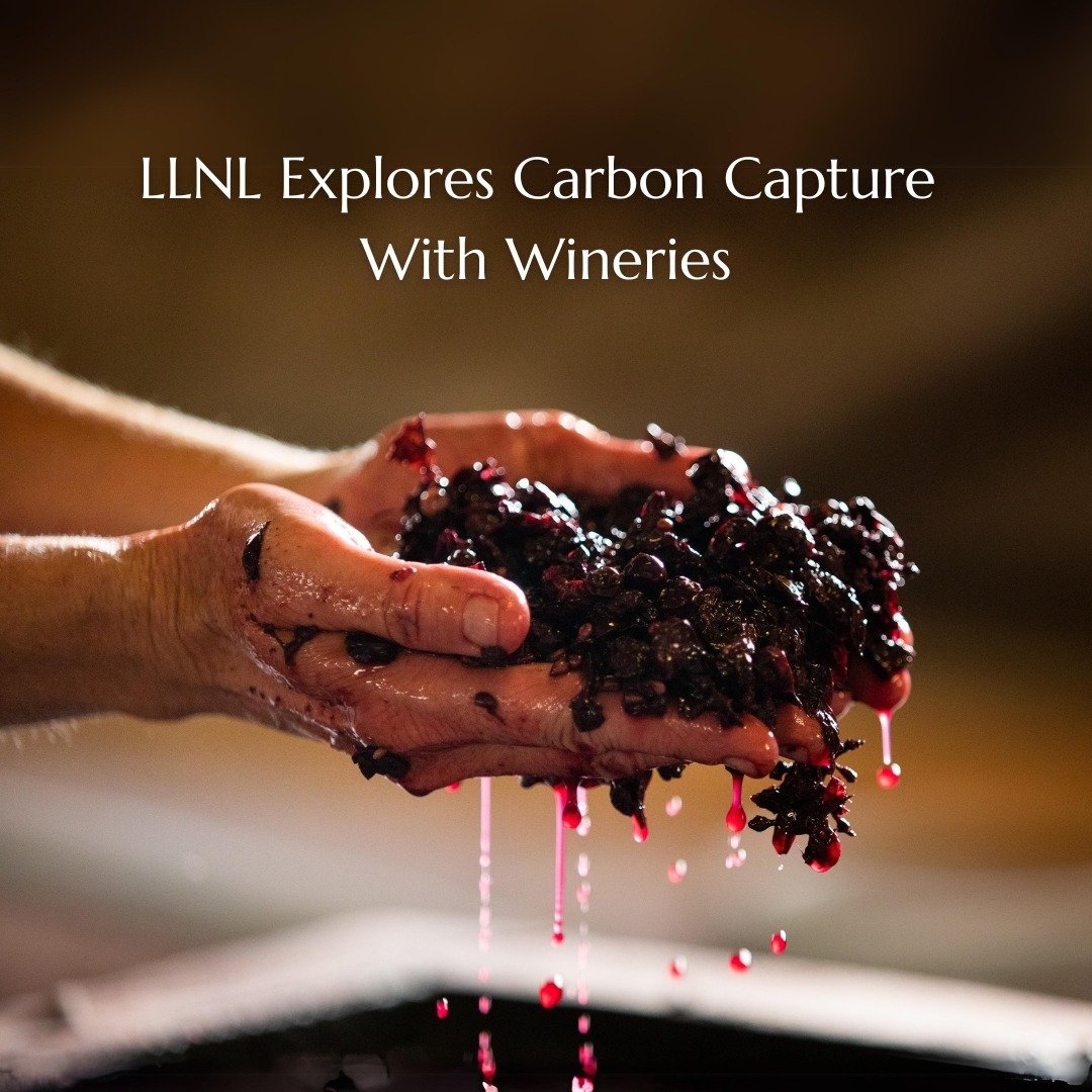 Is winemaking the solution to climate change?? 😲 ⁠
⁠
Scientists at Lawrence Livermore National Laboratory (LLNL) are working on a method to capture carbon emissions from fermenting wine grapes.⁠
⁠
By mineralizing the CO2, they're helping wineries re