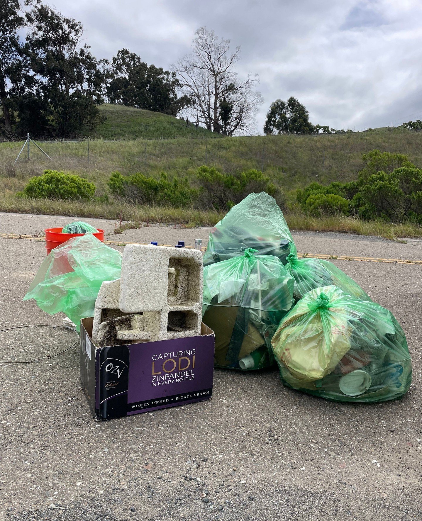 Shoutout to TVC staff and volunteers who spent 2 hours picking up trash at our protected Tiger Salamander property in Pleasanton! 🦎 ⁠
⁠
In preparation for our Step Into Spring event, they filled multiple 13-gallon trash bags with waste. ⁠
⁠
Please h