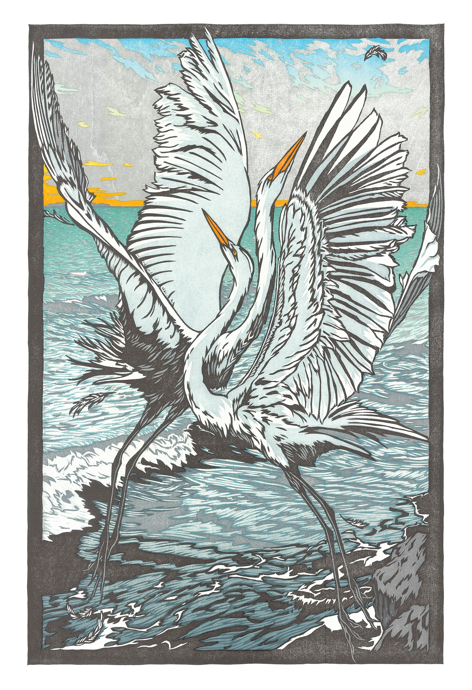 Wild and Scenic Film Festival