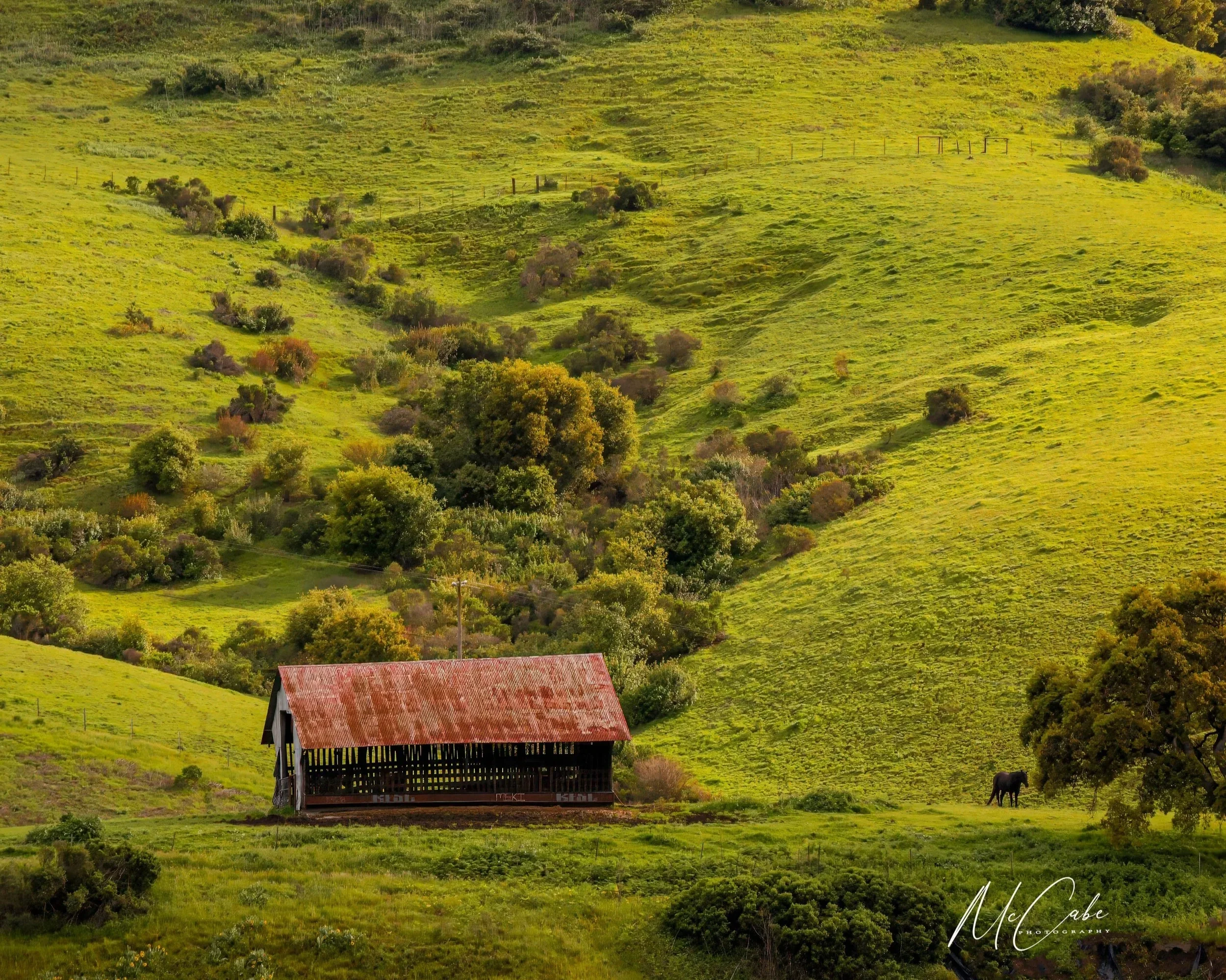 Views in the Valley Photo Competition