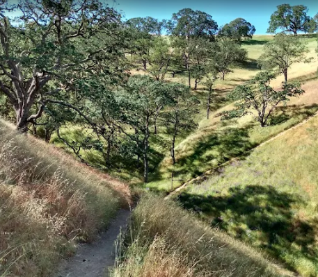 Sunset Nature Stroll - City Nature Challenge Outing