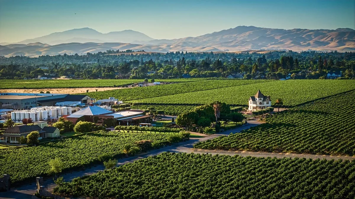 Historic Concannon Vineyard Awarded Replanting Loan from Tri-Valley Conservancy
