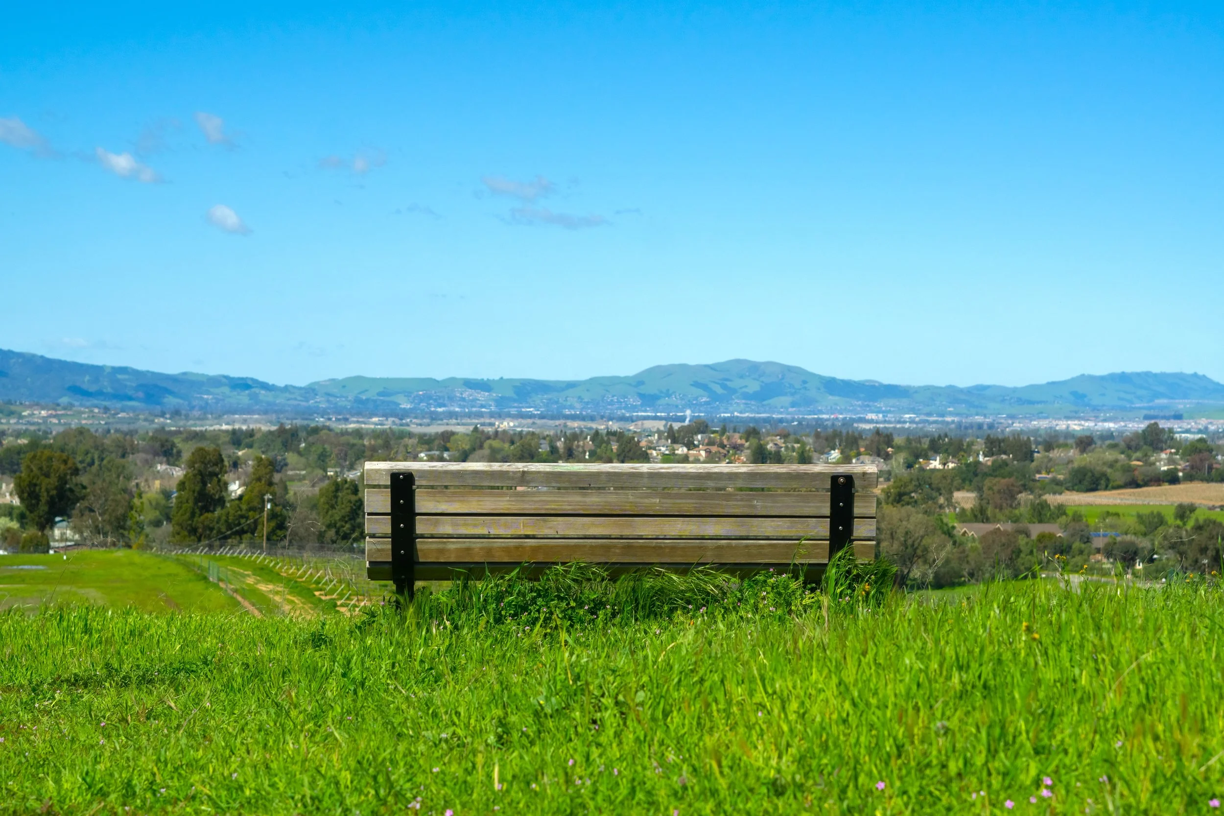 Regional Poll Reveals 80% of Tri-Valley Residents Prioritize Open Space&nbsp;&nbsp;