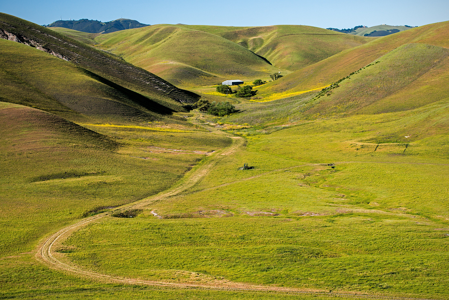 Regional Poll Reveals 80% of Tri-Valley Residents Prioritize Open Space&nbsp;&nbsp;