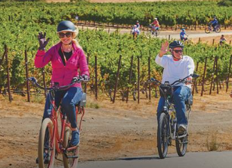 Concannon Harvest Estate Blocks Ebike Tour