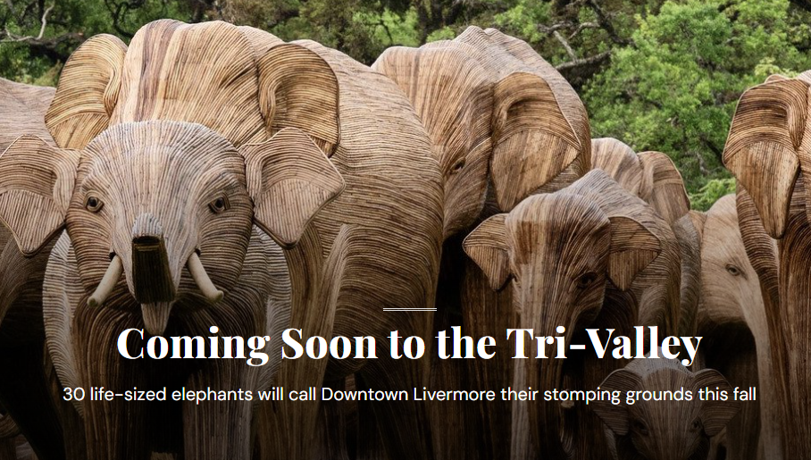 The Great Elephant Migration