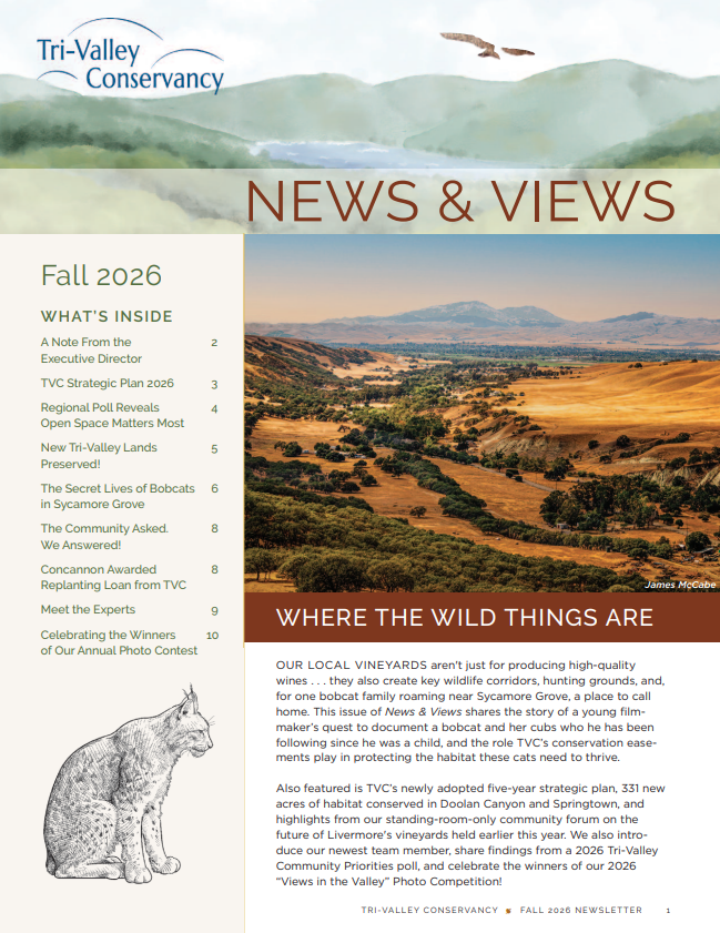 News &amp; Views, Fall 2026