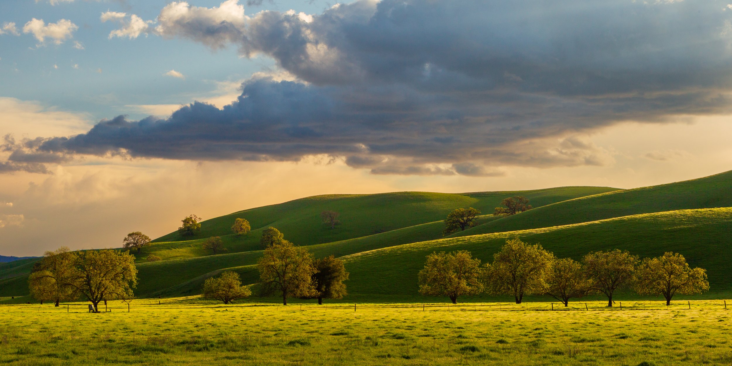 Rolling Hills by Nancy Wright.

 Springtime hills off of Camino Tassajara, Pleasanton. I used to love to ride my bike through these areas